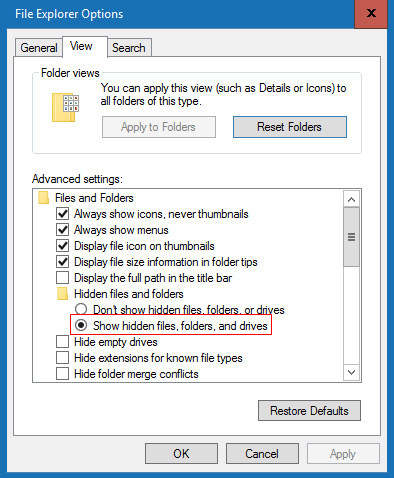 File explorer options